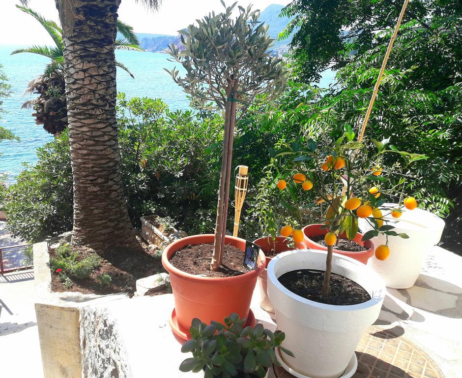 Two Palms Apartment سوتوموري المظهر الخارجي الصورة